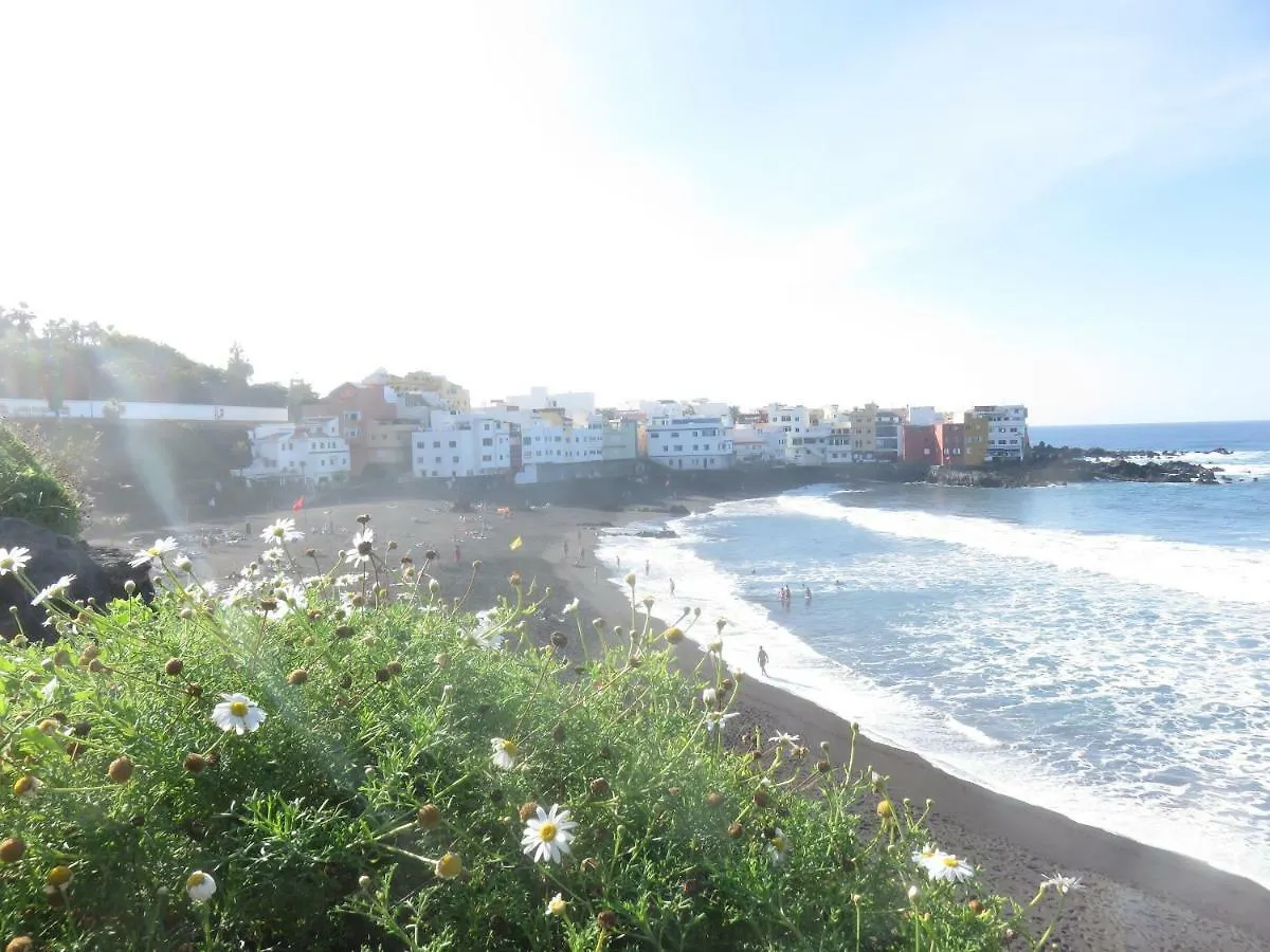 Centrico Loft En El Puerto De La Cruz Con Wifi Y Cerca De La Playa Apartment