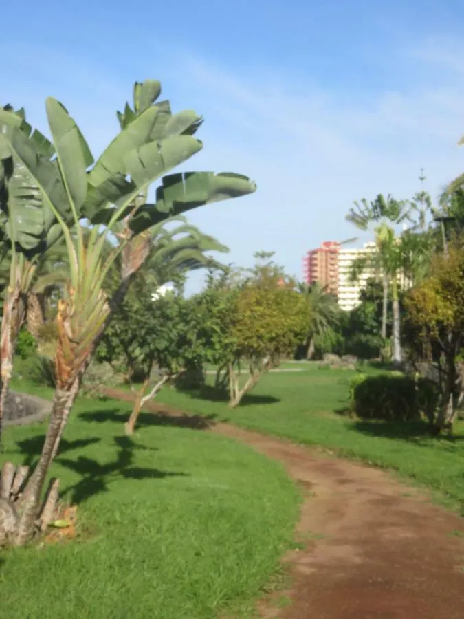 Centrico Loft En El Puerto De La Cruz Con Wifi Y Cerca De La Playa Apartment Spain