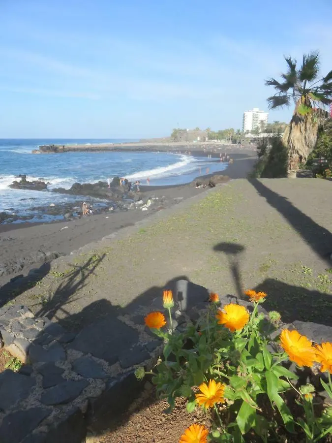 Centrico Loft En El Puerto De La Cruz Con Wifi Y Cerca De La Playa Daire  Puerto de la Cruz (Tenerife)