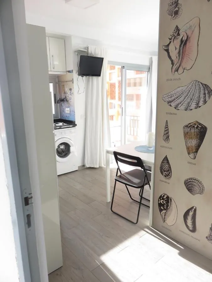 Centrico Loft En El Puerto De La Cruz Con Wifi Y Cerca De La Playa Daire